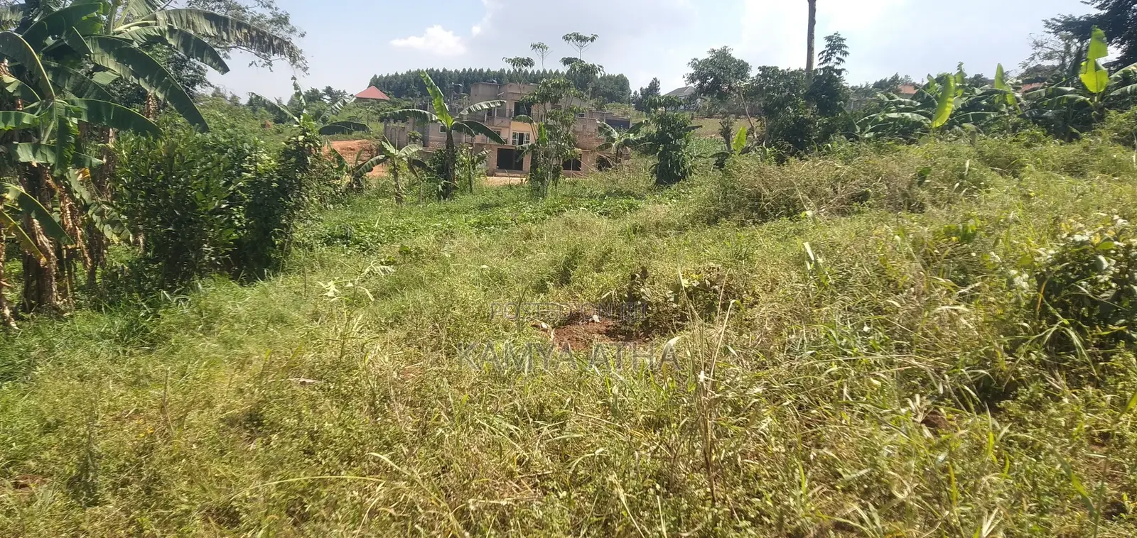 Land for Sale in Matugga 50 by 40ft 11millions Strategically Located A