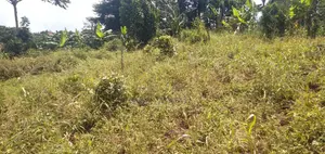 Land for Sale in Matugga 50 by 40ft 11millions Strategically Located A