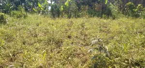 Land for Sale in Matugga 50 by 40ft 11millions Strategically Located A