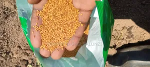 Sugar Graze Seeds Available
