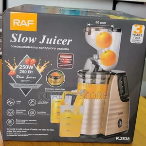 Commercial Electric Slow Juicer Raf