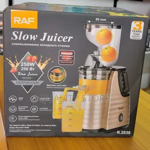 Commercial Electric Slow Juicer Raf