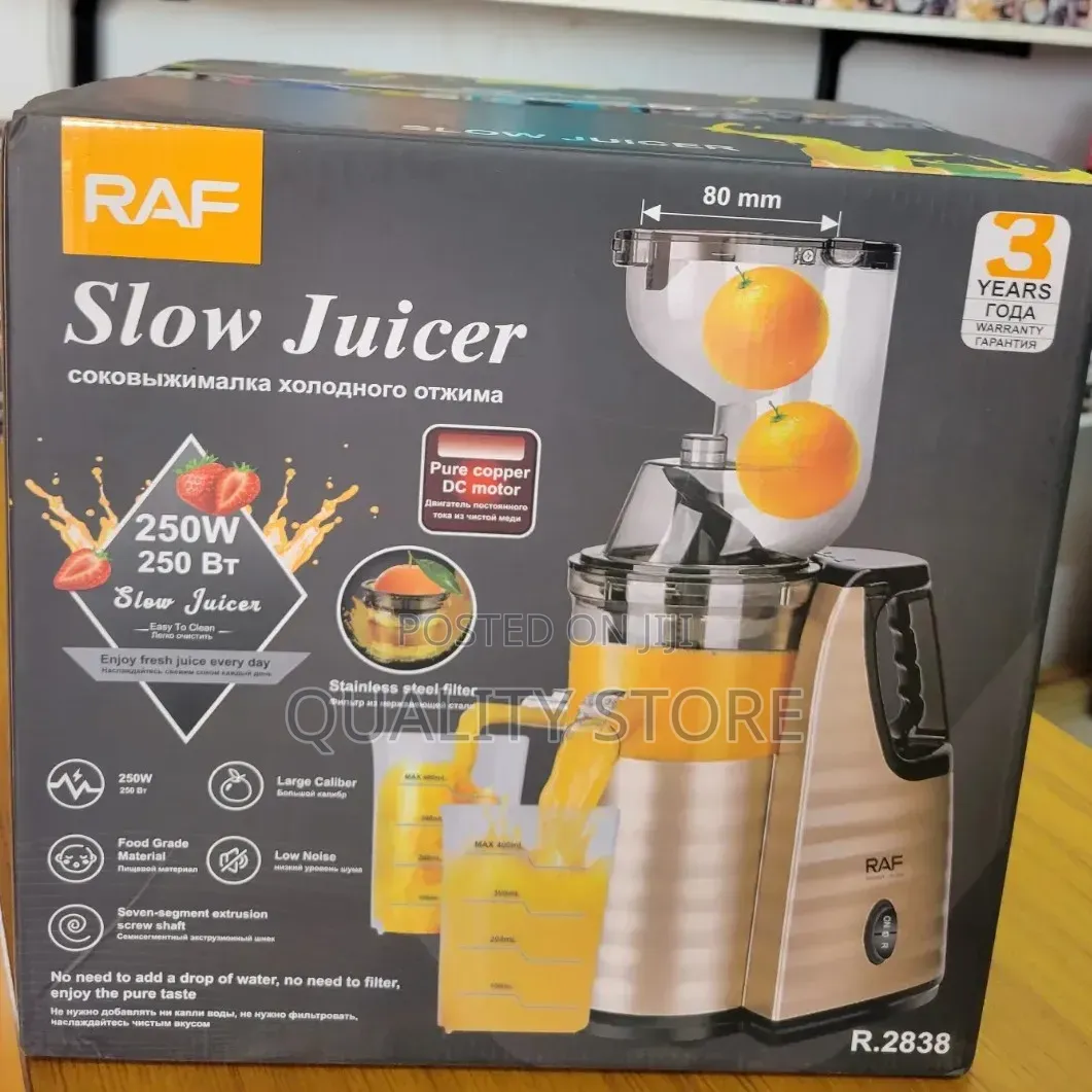 Commercial Electric Slow Juicer Raf
