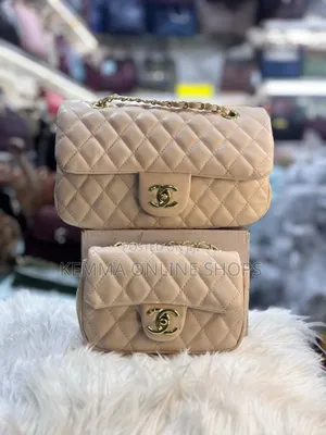 Chanel Two Piece Handbag