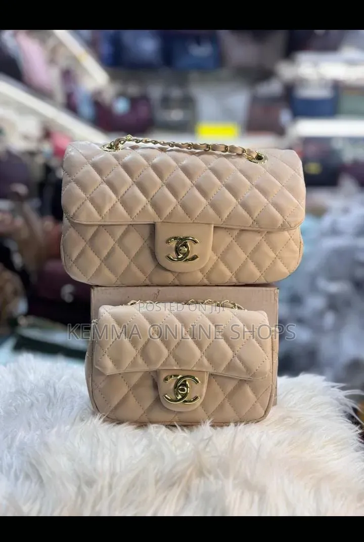 Chanel Two Piece Handbag