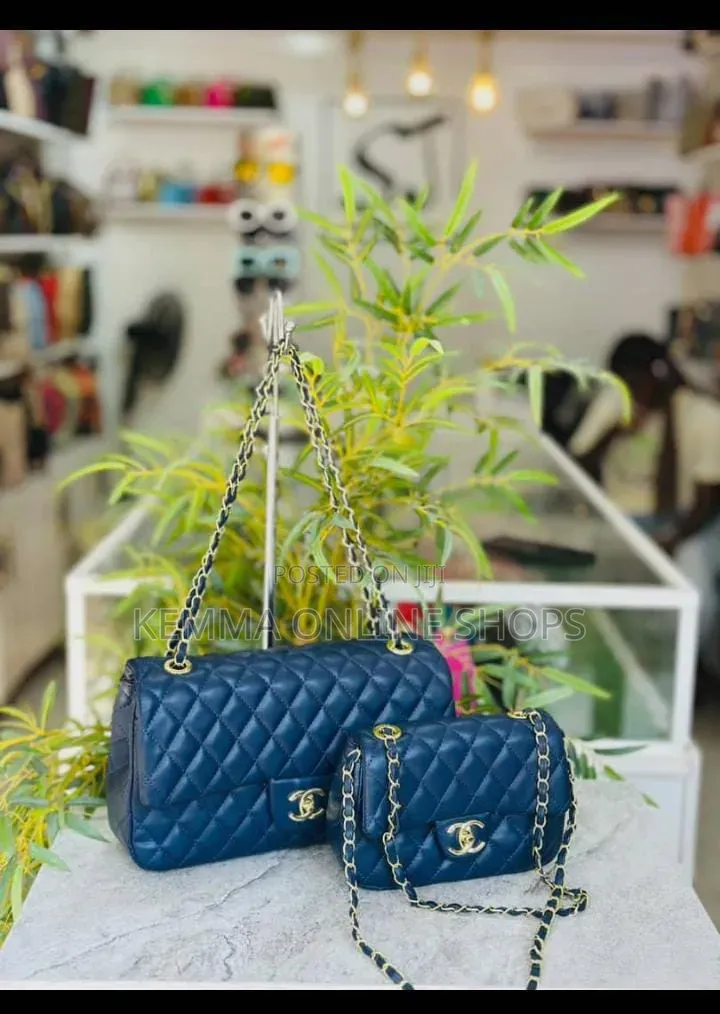 Chanel Two Piece Handbag