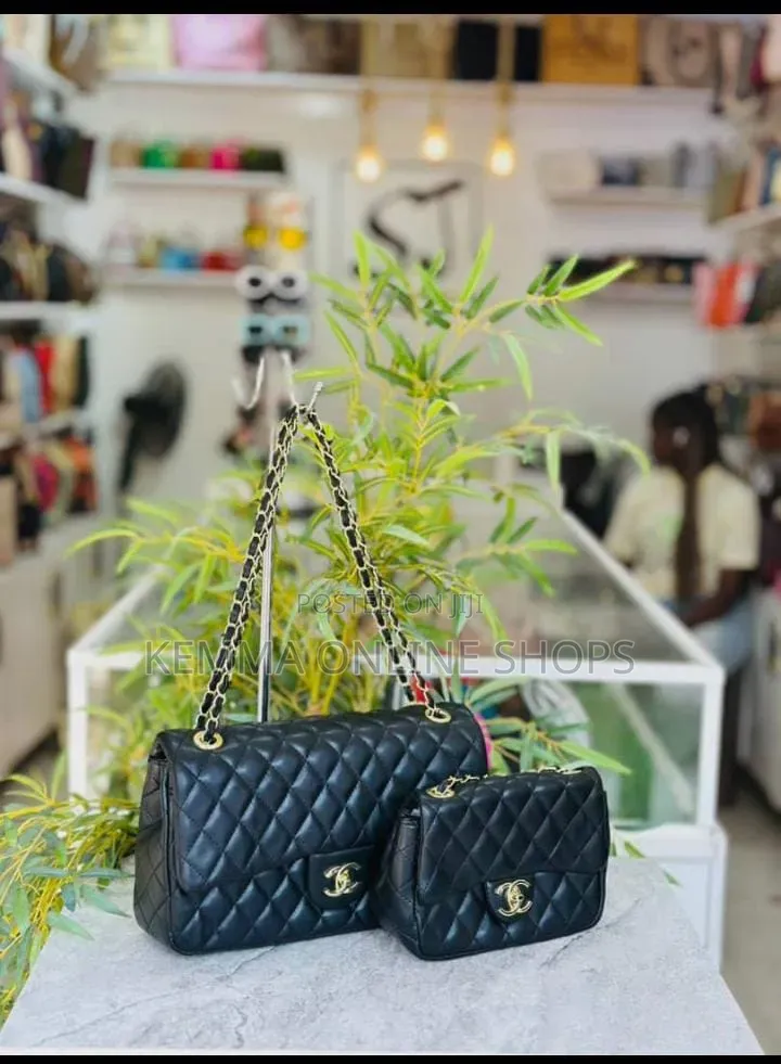 Chanel Two Piece Handbag