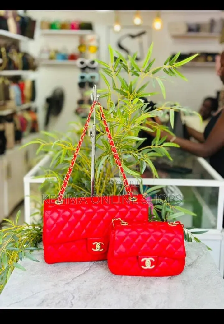 Chanel Two Piece Handbag