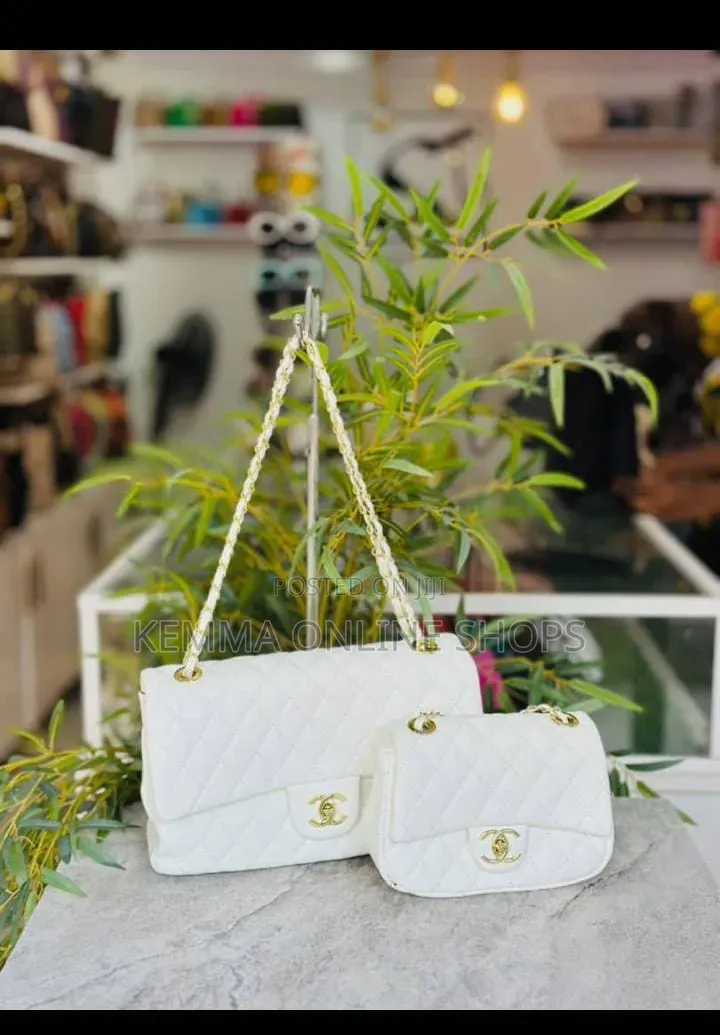 Chanel Two Piece Handbag