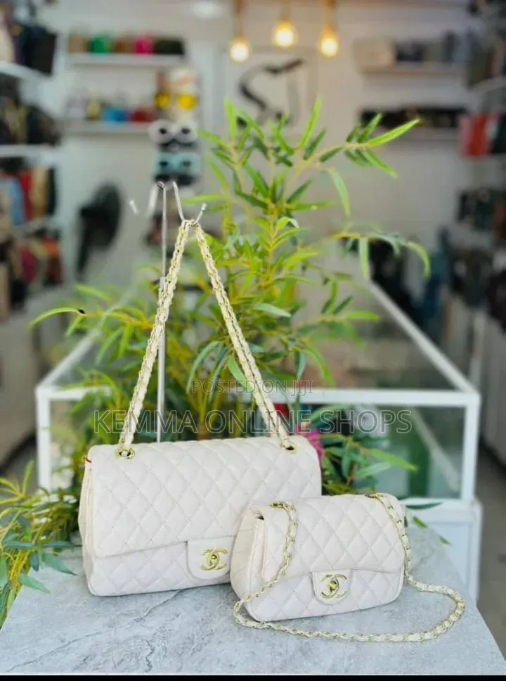 Chanel Two Piece Handbag