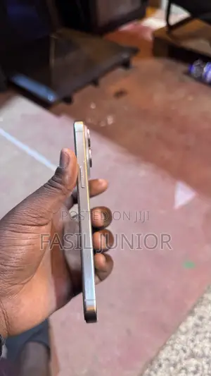 Apple iPhone 15 Pro Max 256 GB Gray