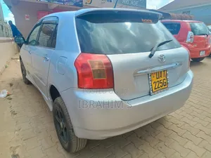 Toyota Allex 2005 Silver