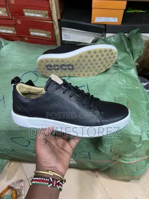 Echo Shoes