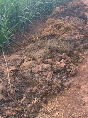 Natural Fertilizers