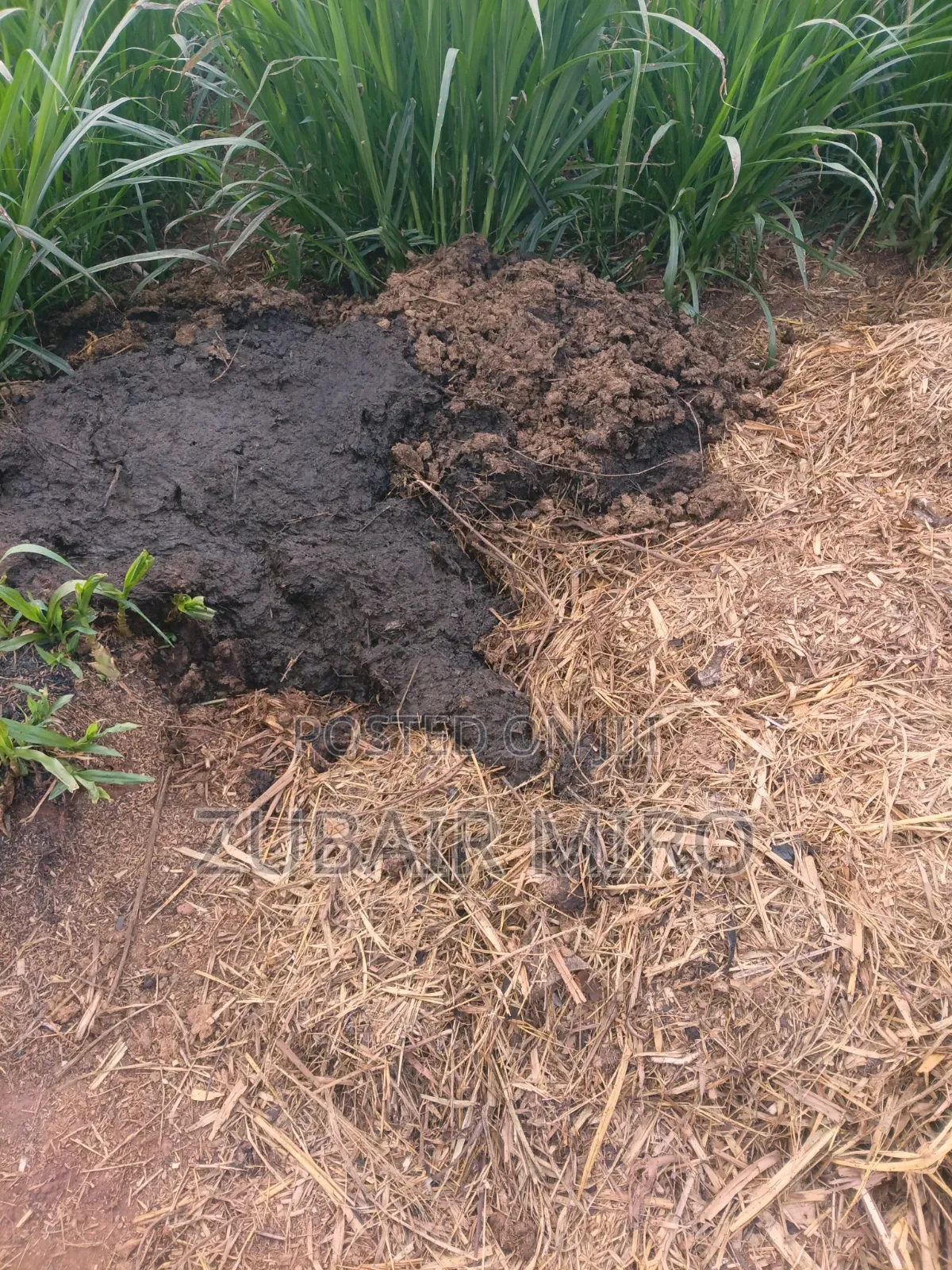Natural Fertilizers