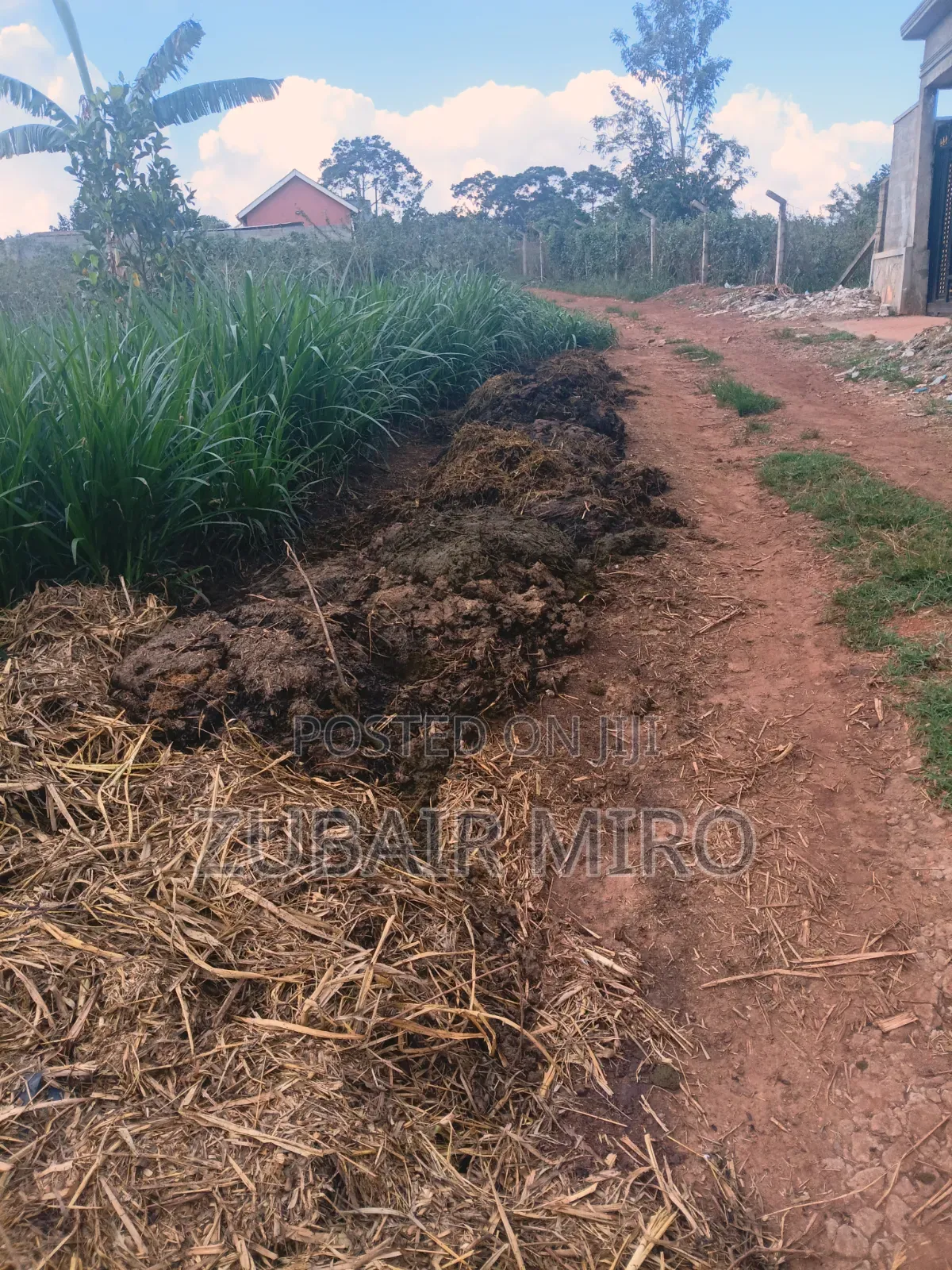 Natural Fertilizers