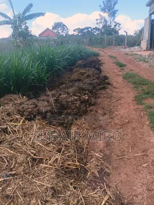 Natural Fertilizers
