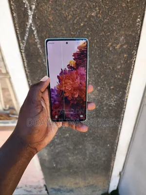 Samsung Galaxy S20 FE 5G 128 GB Gray