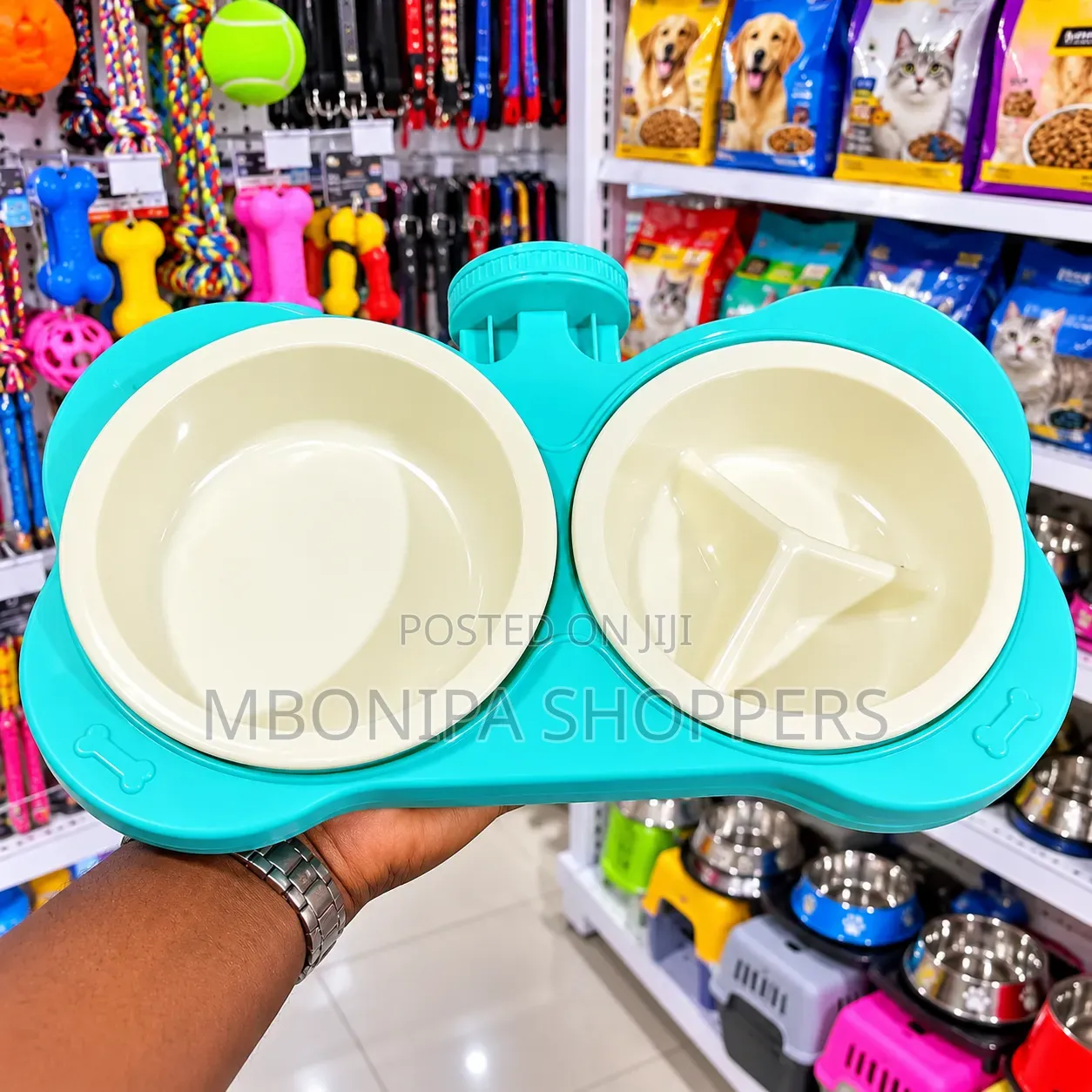 2-in-1 Double Pet Food & Slow-Feeding Bowl
