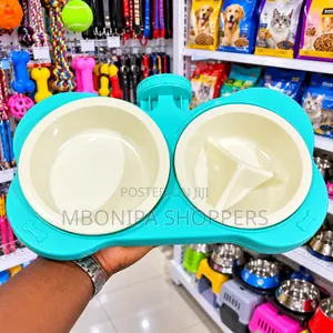 2-in-1 Double Pet Food & Slow-Feeding Bowl