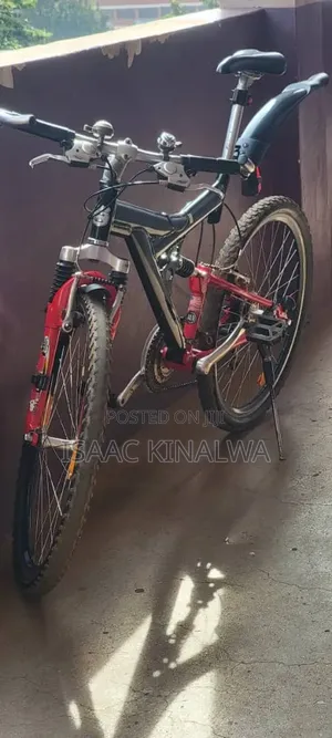 Personal Bicycles