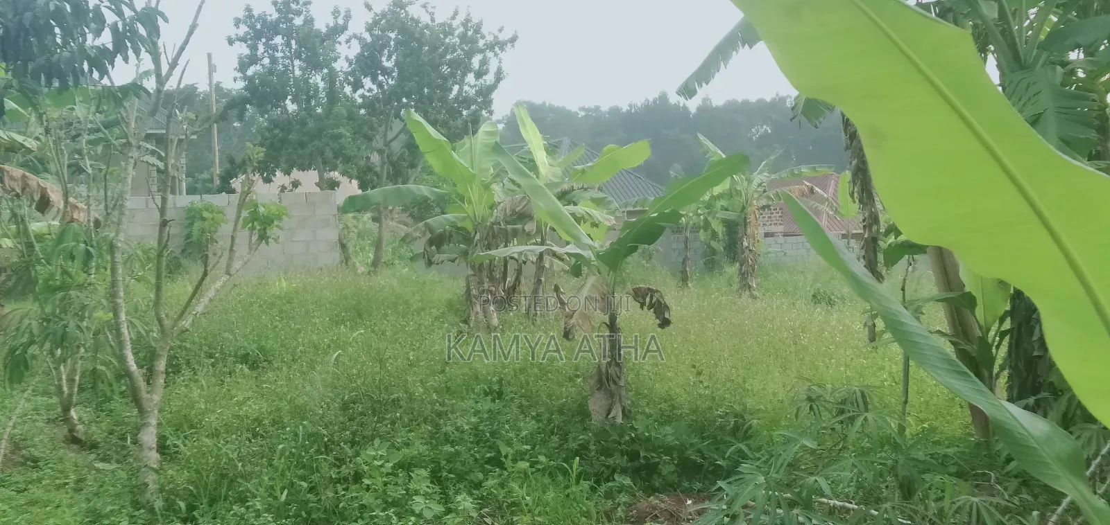 50 by 40 Ft Plot for Sell in Matugga Buwambo