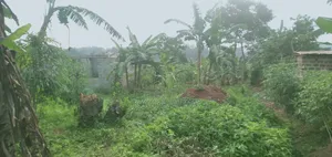 50 by 40 Ft Plot for Sell in Matugga Buwambo
