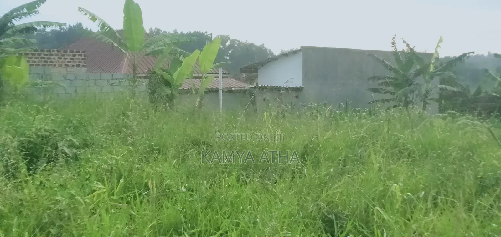 50 by 40 Ft Plot for Sell in Matugga Buwambo