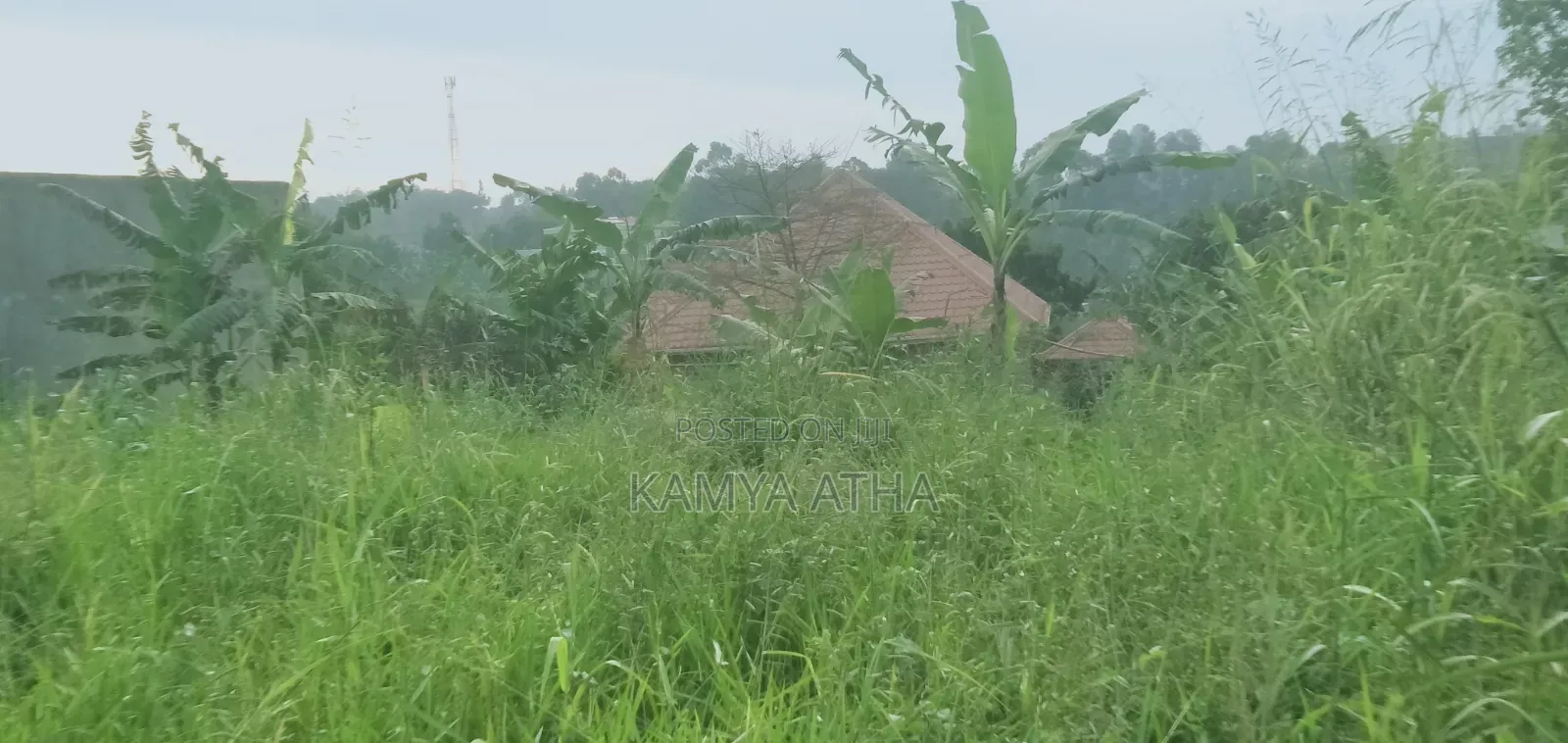 50 by 40 Ft Plot for Sell in Matugga Buwambo