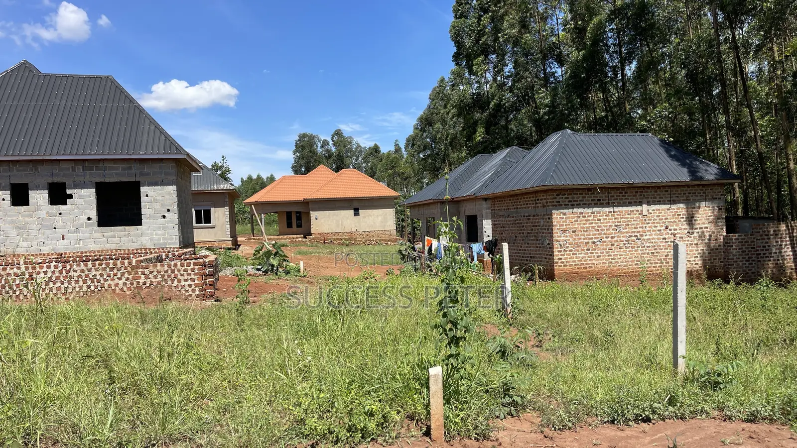 Plot 25x50