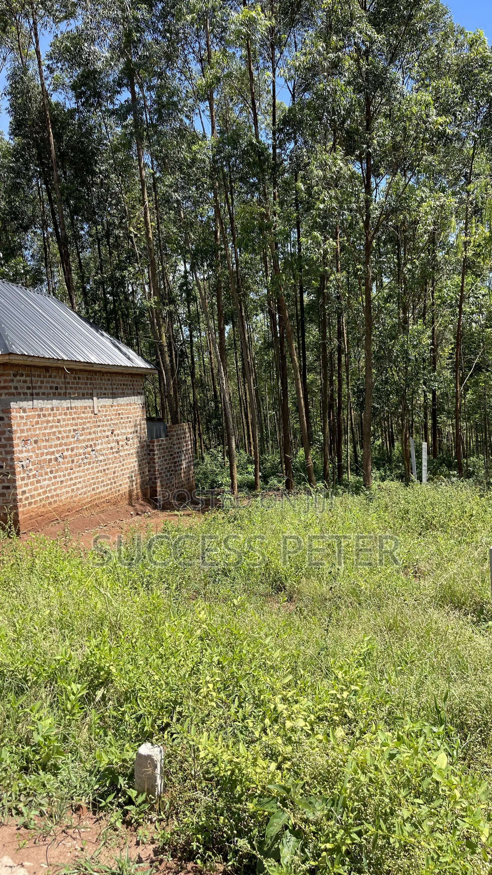 Plot 25x50