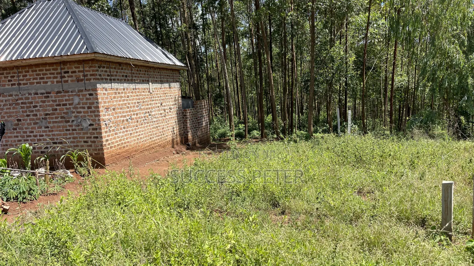 Plot 25x50
