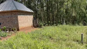 Plot 25x50