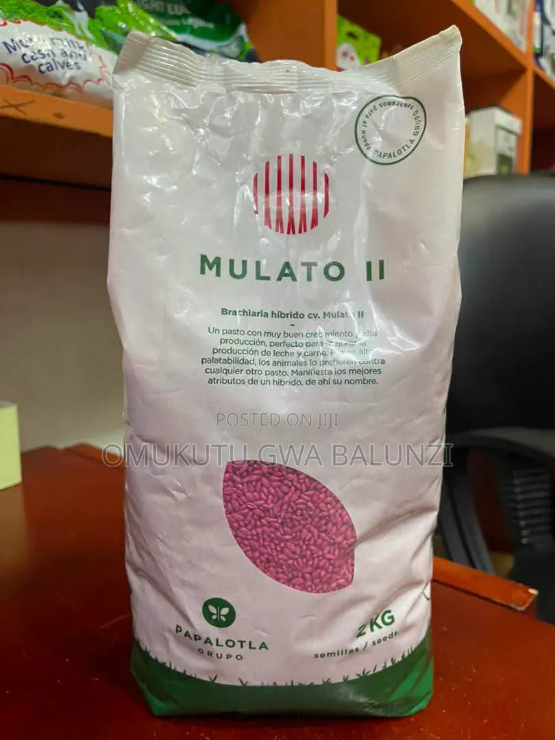 Mulato Seeds
