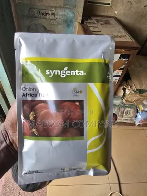 Africa Red Onion Seeds 5000 Seeds