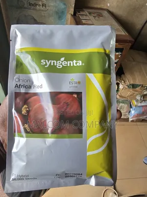 Africa Red Onion Seeds 5000 Seeds