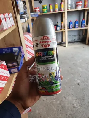 Metalic Silver Spray Paint