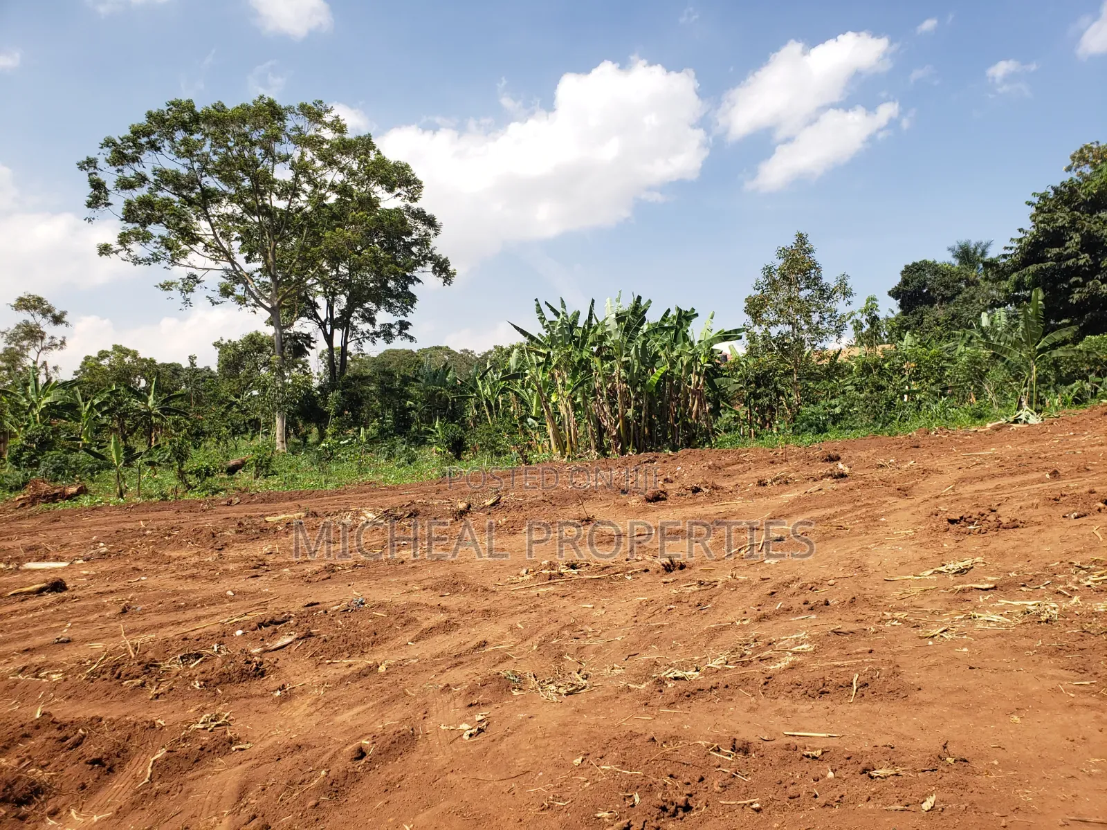 Plot for Mpelerwe Jokorela at 55m With Land Titles 50ft by 100ft