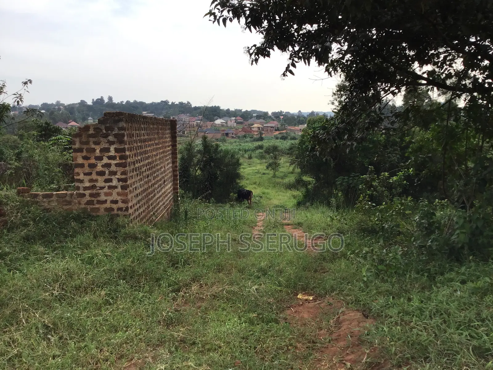 Property on Sale