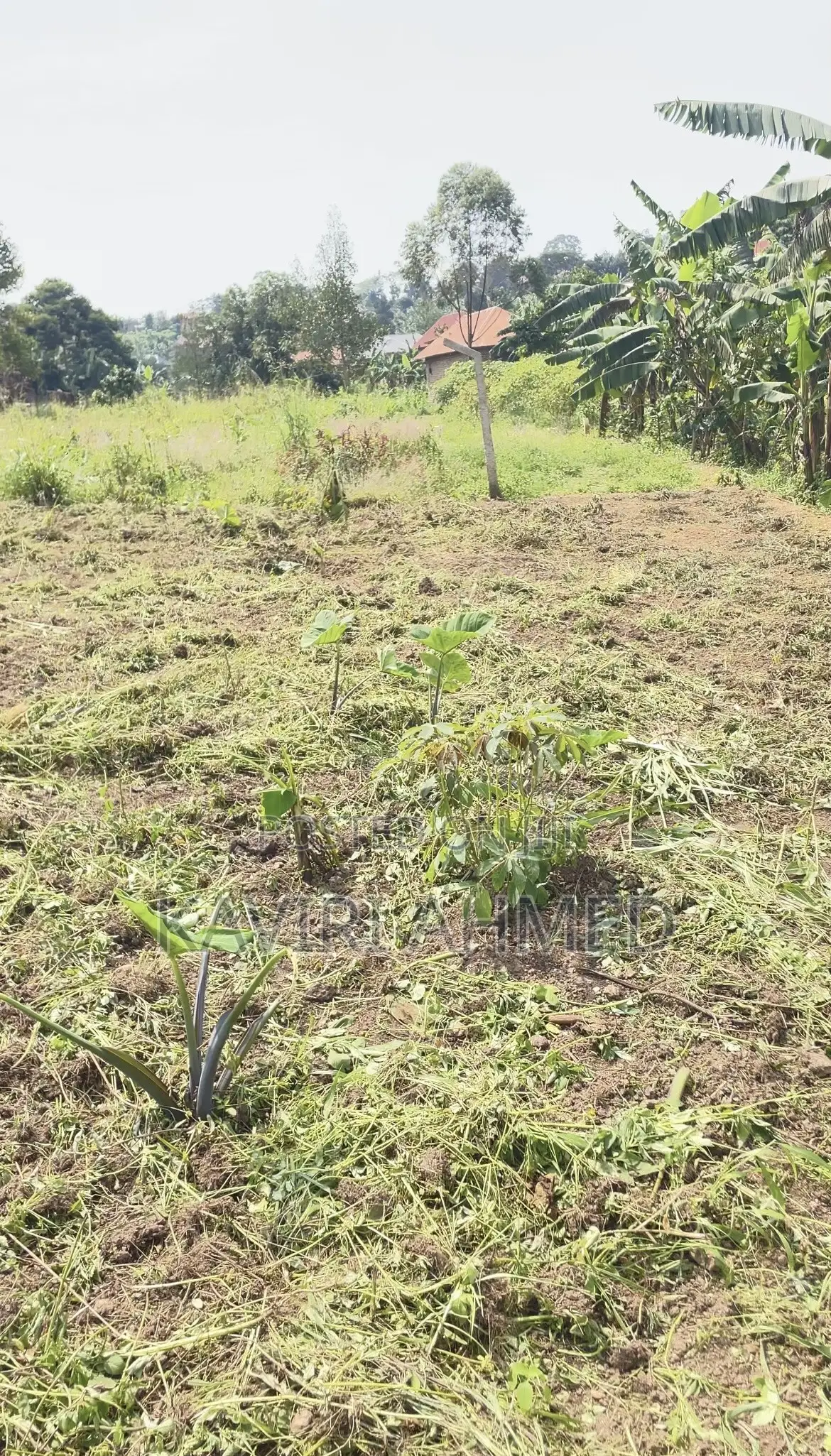 Plot for Sale 50*50*50*70 Buwambo Town 20m Negotiable