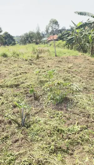 Plot for Sale 50*50*50*70 Buwambo Town 20m Negotiable