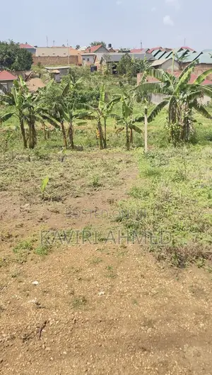 Plot for Sale 50*50*50*70 Buwambo Town 20m Negotiable