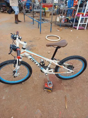 Kids Bicycles