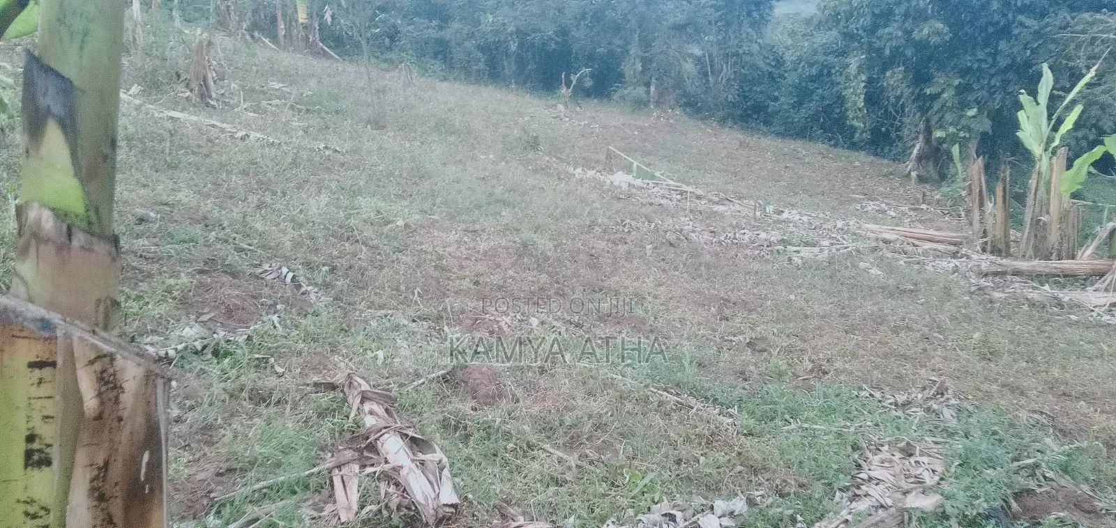 100 by 100 Ft Plot