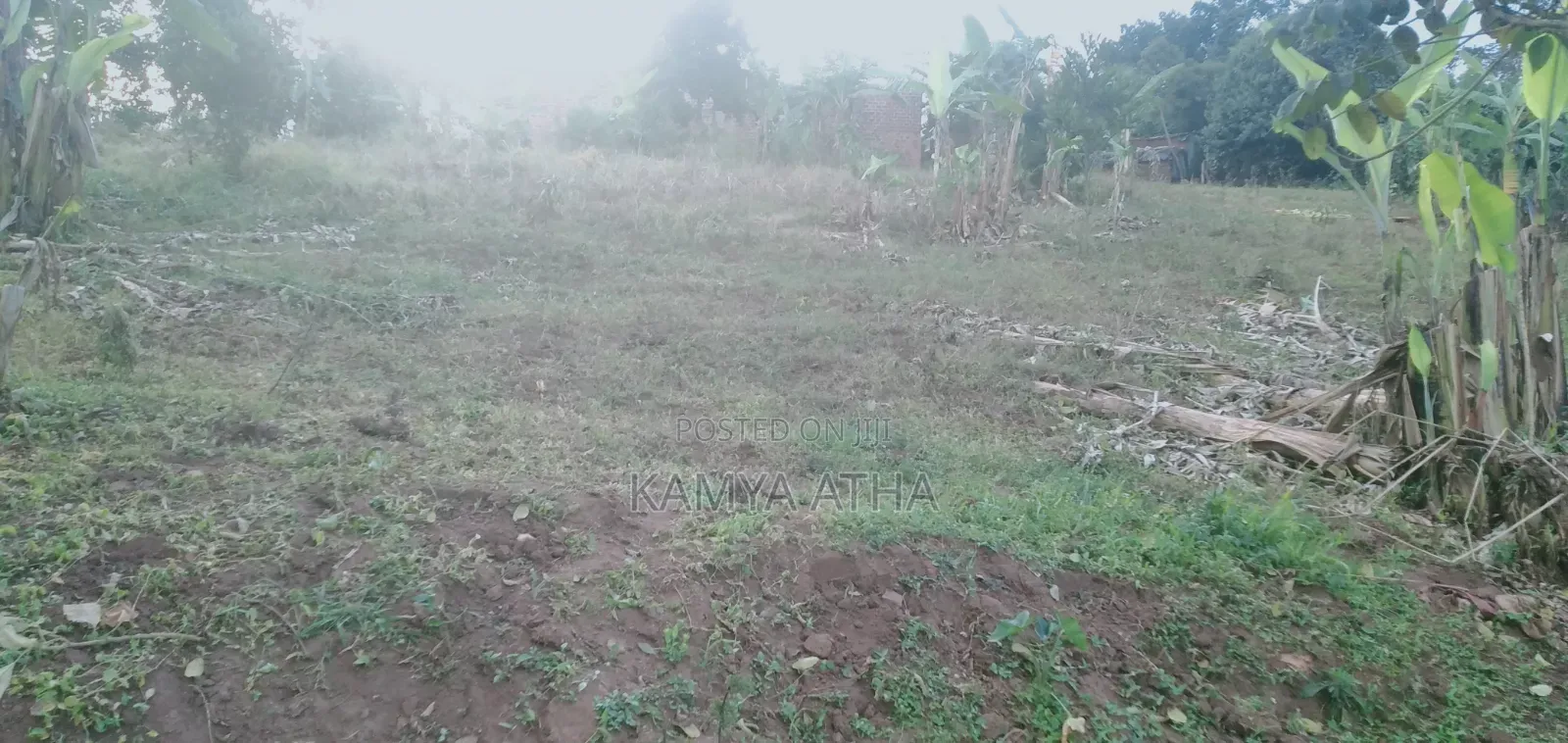 100 by 100 Ft Plot