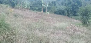 100 by 100 Ft Plot
