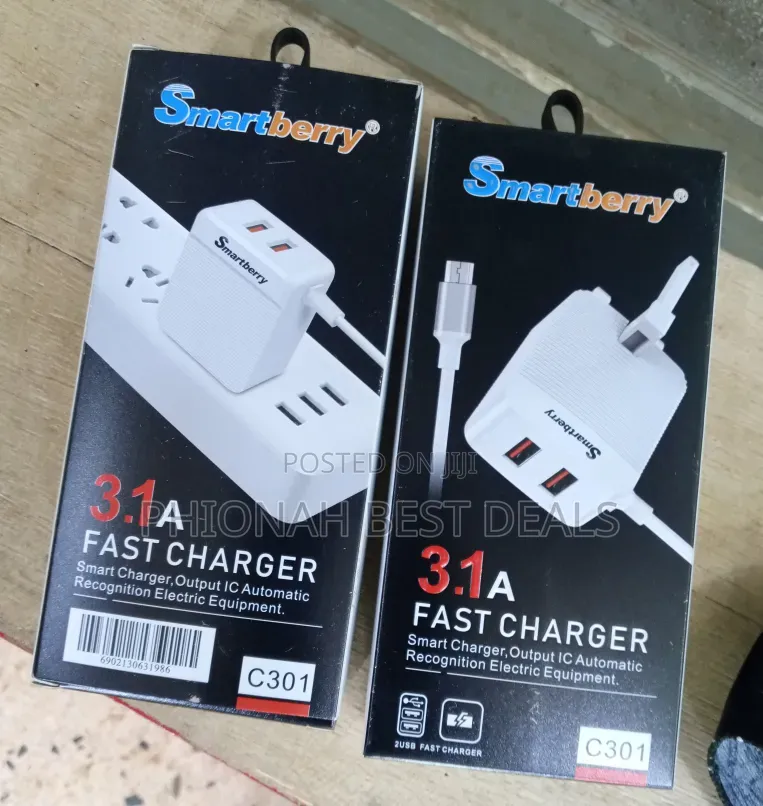 3.1A Dmart Berry Chargers