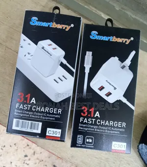 3.1A Dmart Berry Chargers