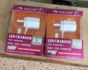 Belief Led Charger