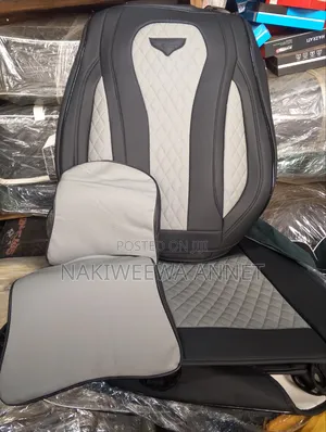 Car Cushions